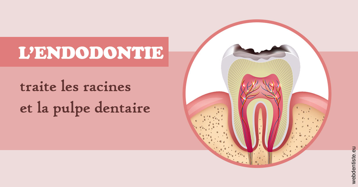 https://selarl-athias-lezmi.chirurgiens-dentistes.fr/L'endodontie 2